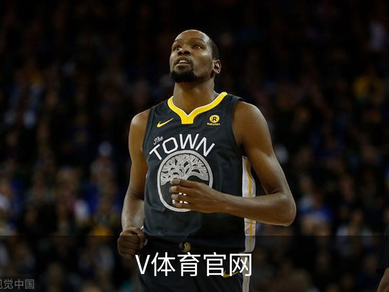 V体育官网概况